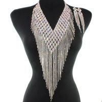 Long Fringed Rhinestone Necklace Set 139593AB