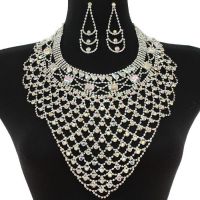 Multi Shiny Rhinestone Necklace Set 144315AB