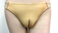 Camel Toe Gaff Panty With Mesh Front Nude