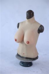Full Breast And Torso Plate